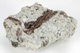 Andradite Garnets On Feldspar With Mica - Pakistan #213416-1